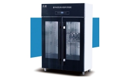 瑞斯光波消毒柜(炫酷黑)